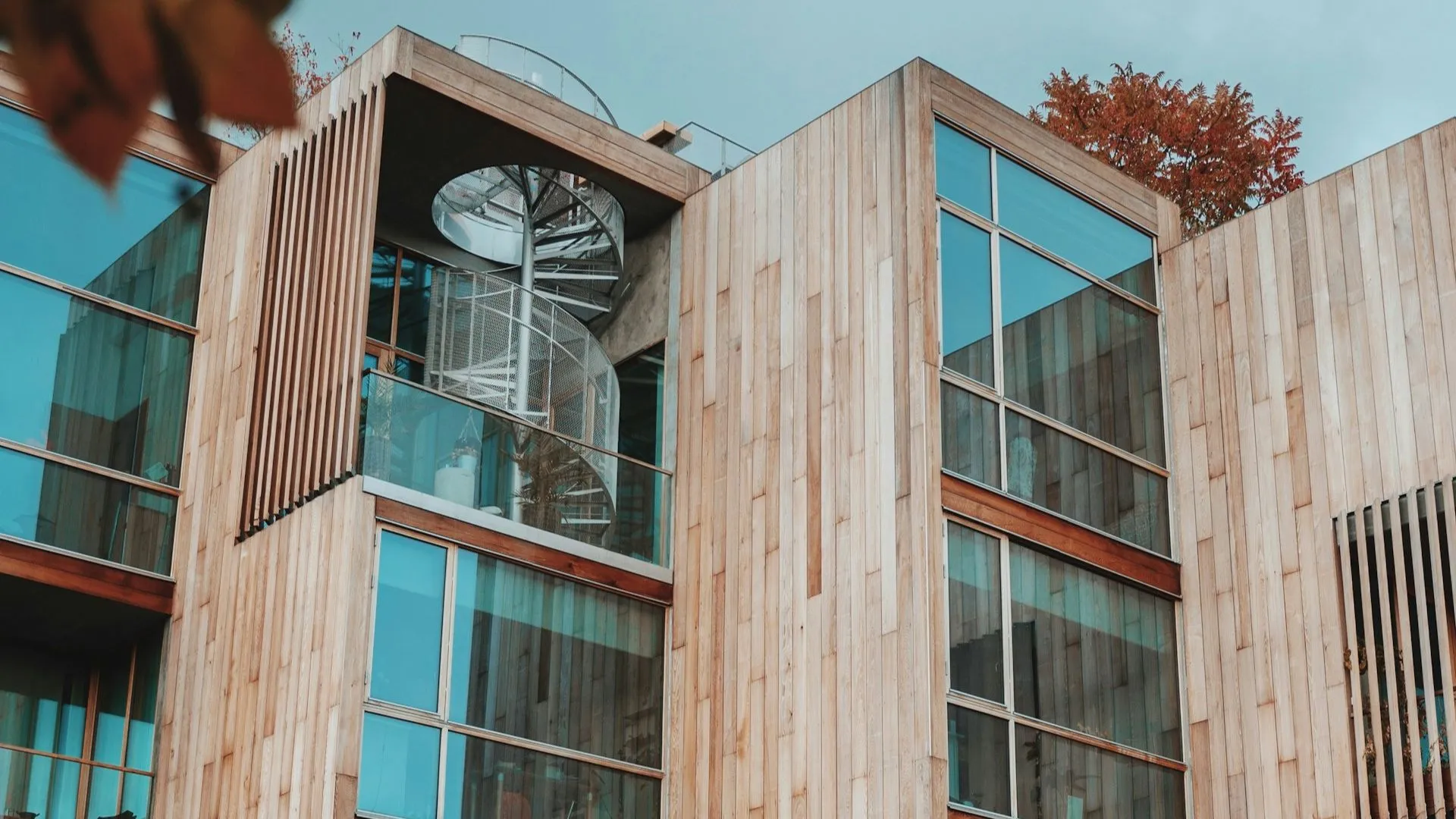 wood city